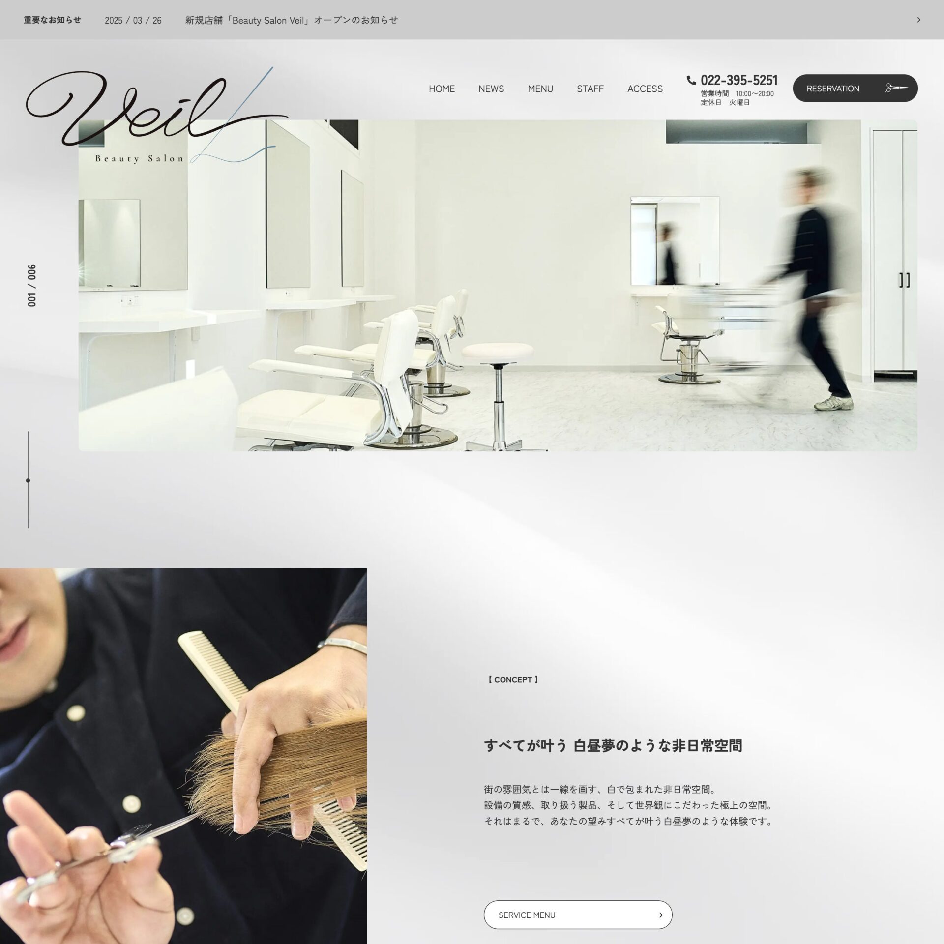 Beauty Salon Veil